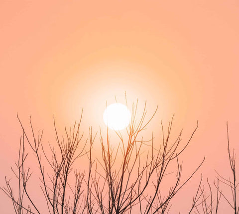 Bom Dia, Novo Dia — Momento de Relaxamento e Motivação Matinal